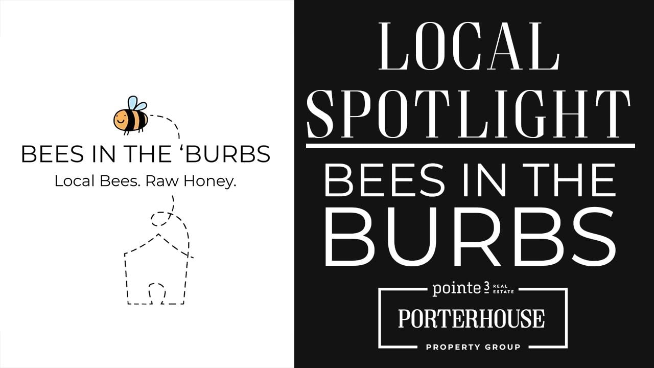  Local Spotlight: Bees in the Burbs | Porterhouse Property Group