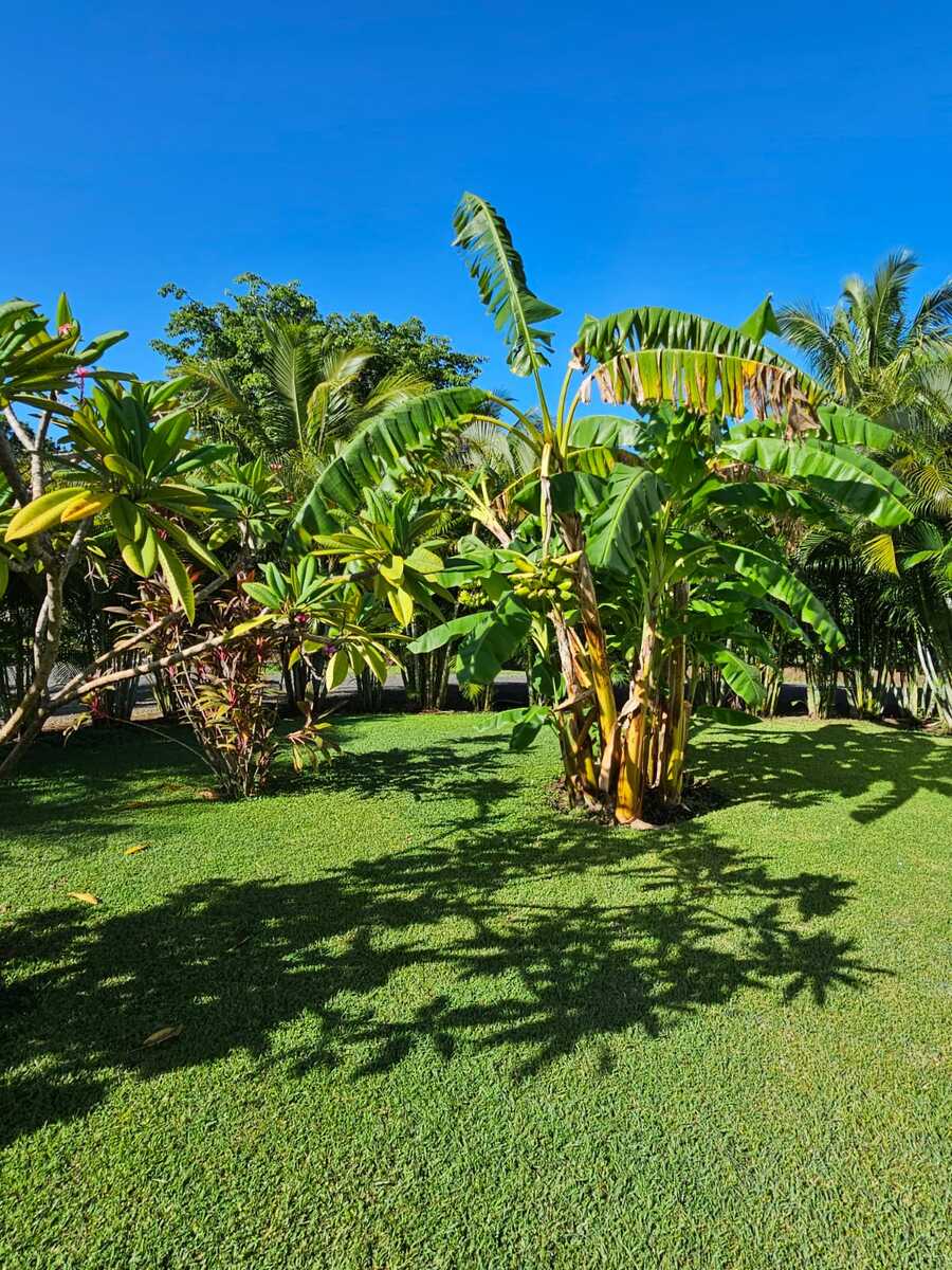 Boutique Resort Guest Casitas, Tamarindo, Guanacaste
