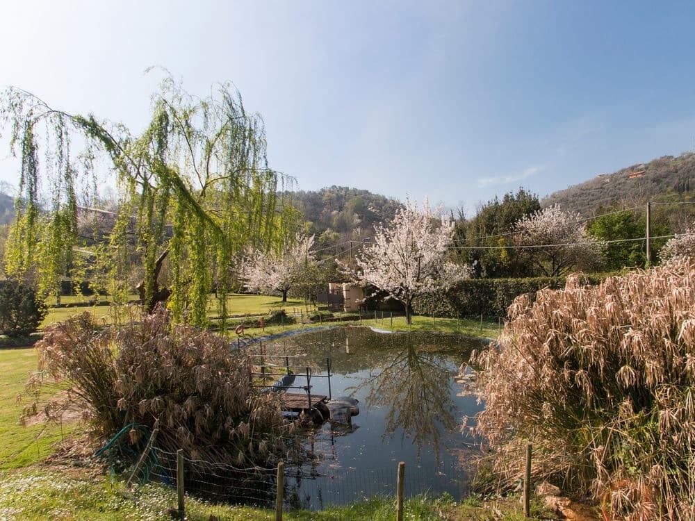 Charming Villa on the Versilian Coast of Tuscany