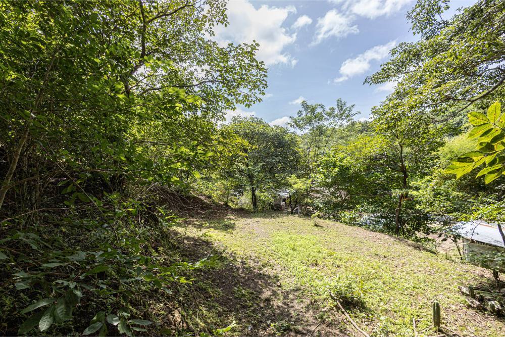 Expansive Creekfront Development Land, Papagayo, Guanacaste