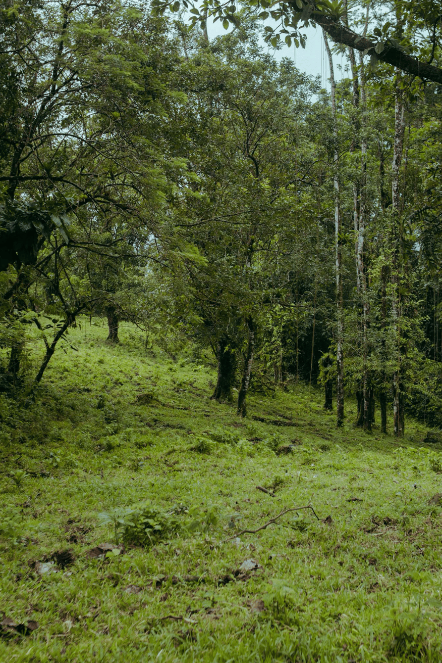 Finca Rincon De La Vieja, 61 Acre Costa Rican Paradise