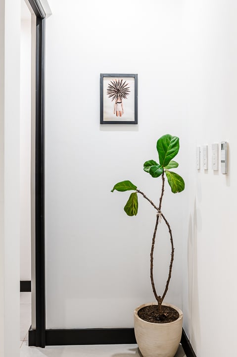 Casa Kalachuchi | Gorgeous Modern Jungle Oasis with Sunset Views in Gated Community