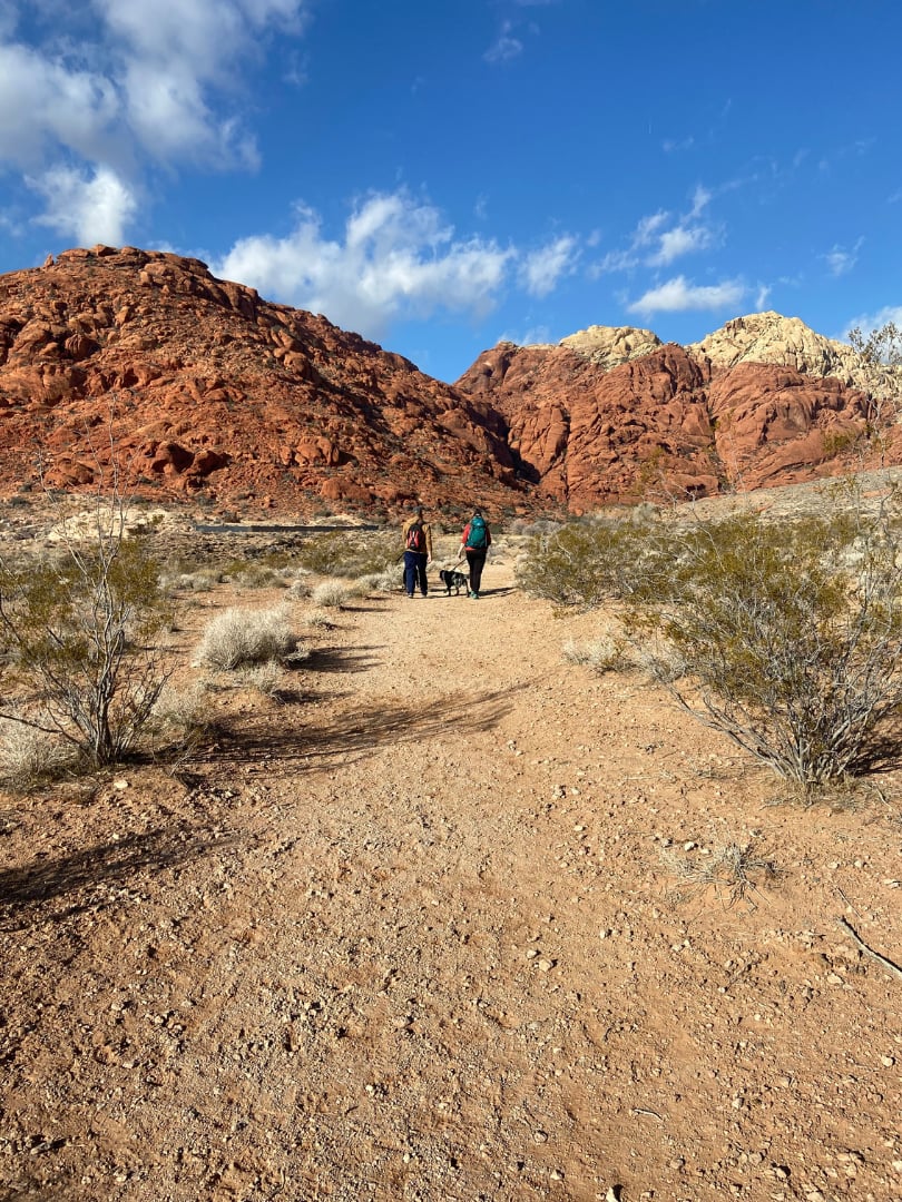 Living Next to Red Rock: What Fall Looks Like in Reverence