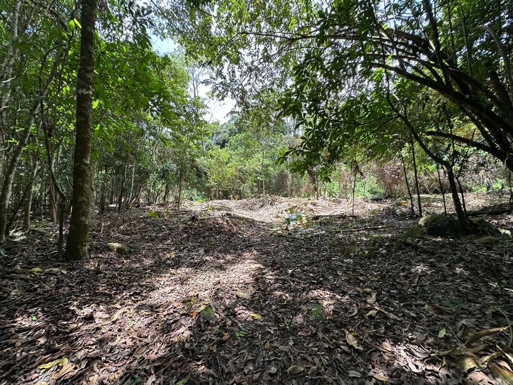 0.53 Acre Lot Located In the Exclusive Community of Puesta del Sol (Phase 10 - Lot #J10) Ojochal 