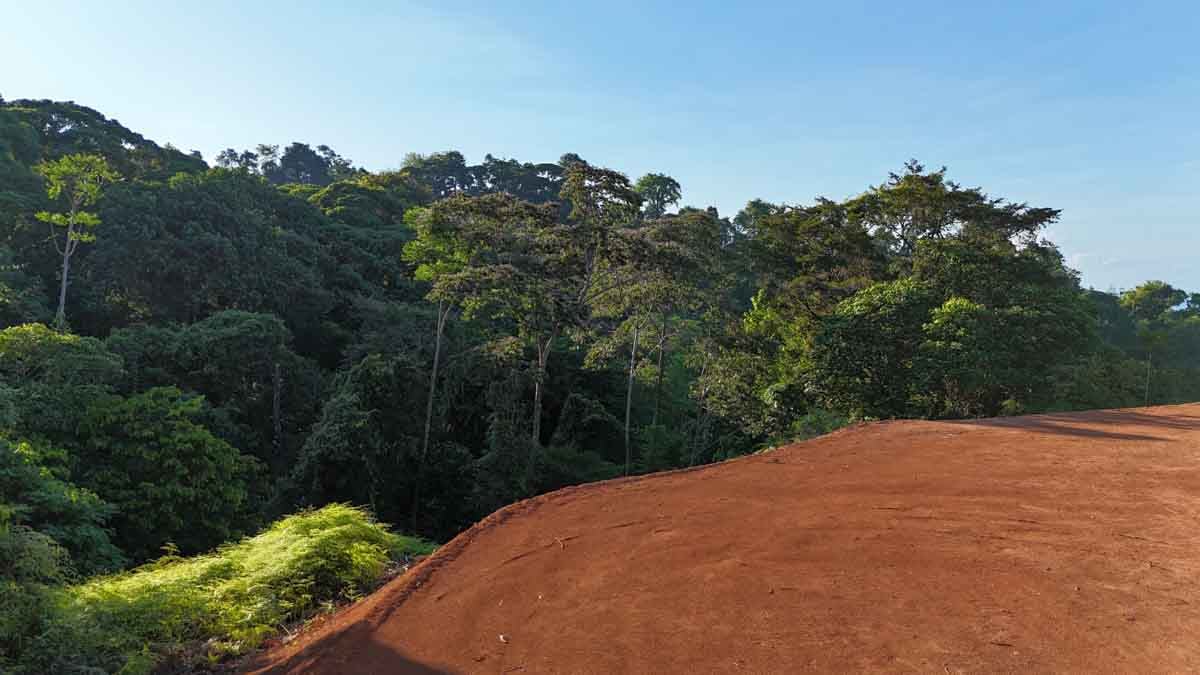 Ocean view, immaculately prepared, jungle and river lot in Ojochal. Ready To Build!.