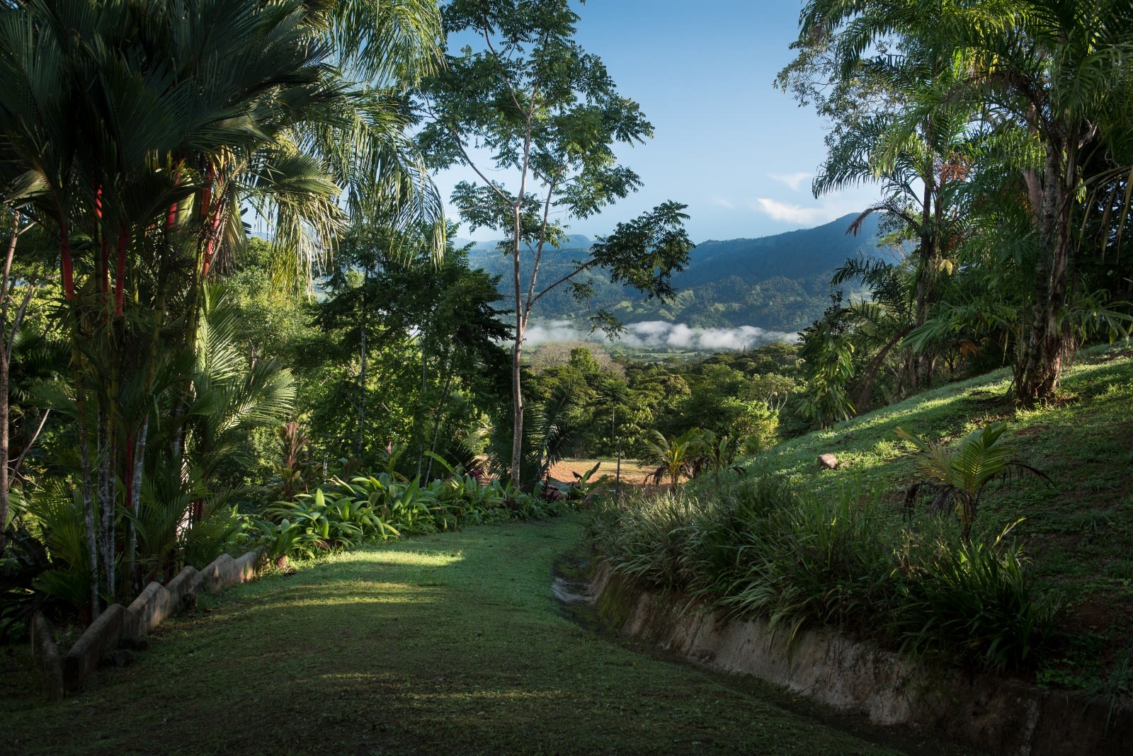 2 Acres of Paradise in Platanillo with Legal Water.