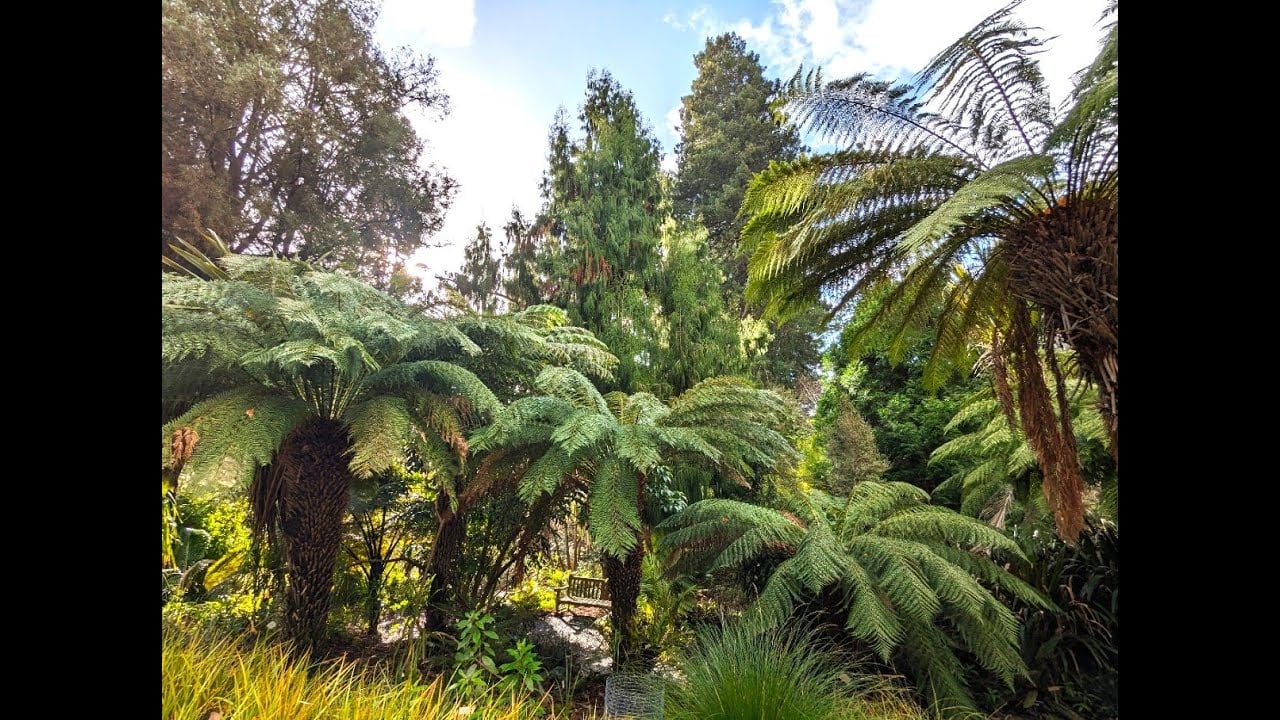 GARDENS OF THE EAST BAY