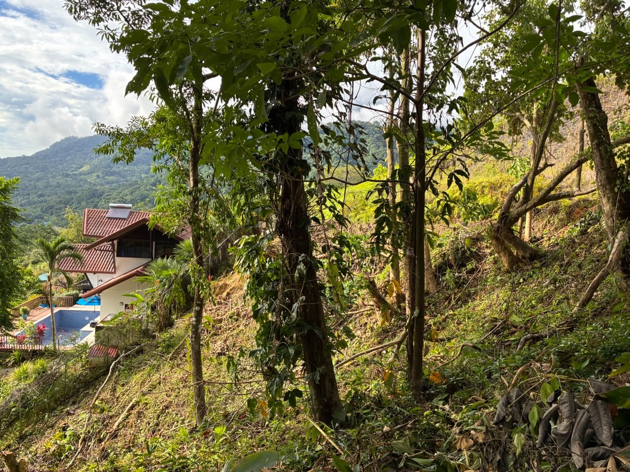 Affordable Ocean View Lot in Ojochal Phase9