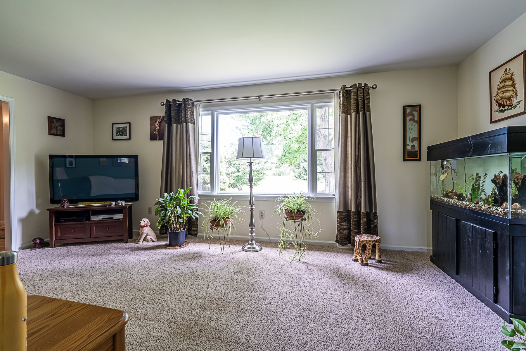 644 Alden Drive