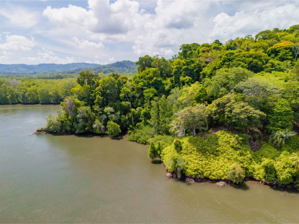 247 Acres of Riverfront Rainforest with Hospitality Potential - Sarangundí Eco-Development Sanctuary Near Corcovado