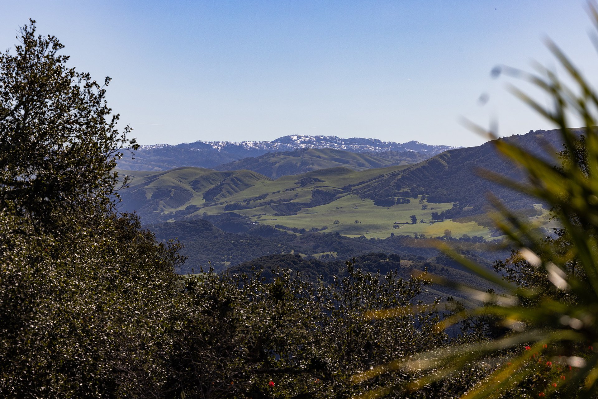 Serene Carmel Valley Living
