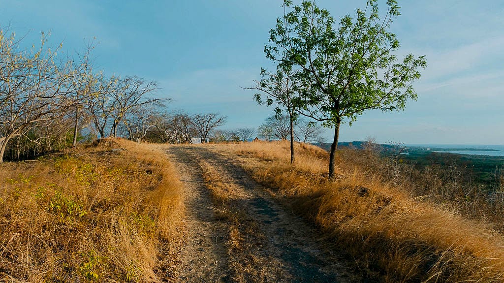 Corona del Cabo Lot 16 | 5,014 m² Buildable Lot Near Playa Grande