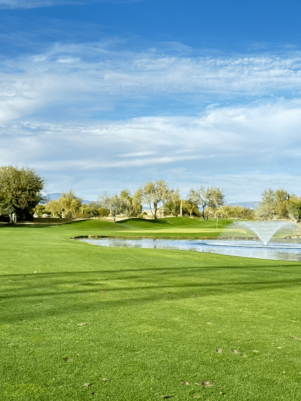 Tatum Ranch Homes For Sale