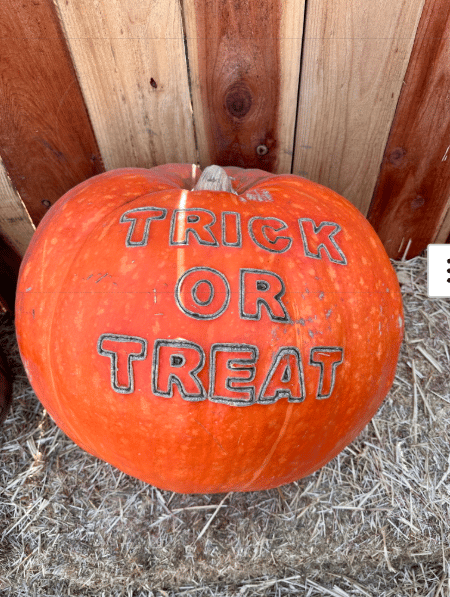 Cece's Halloween 2025 Market Report