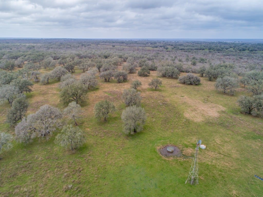 300 Acres in Goliad County 