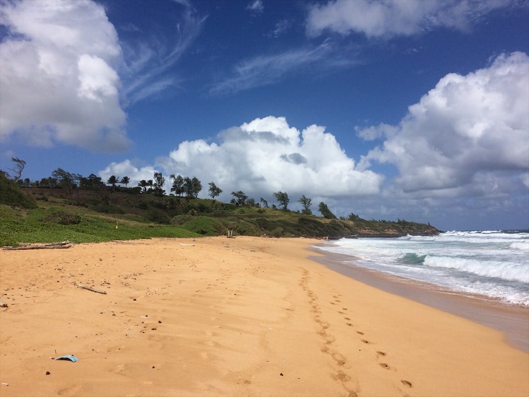 KEALIA KAI KAUAI