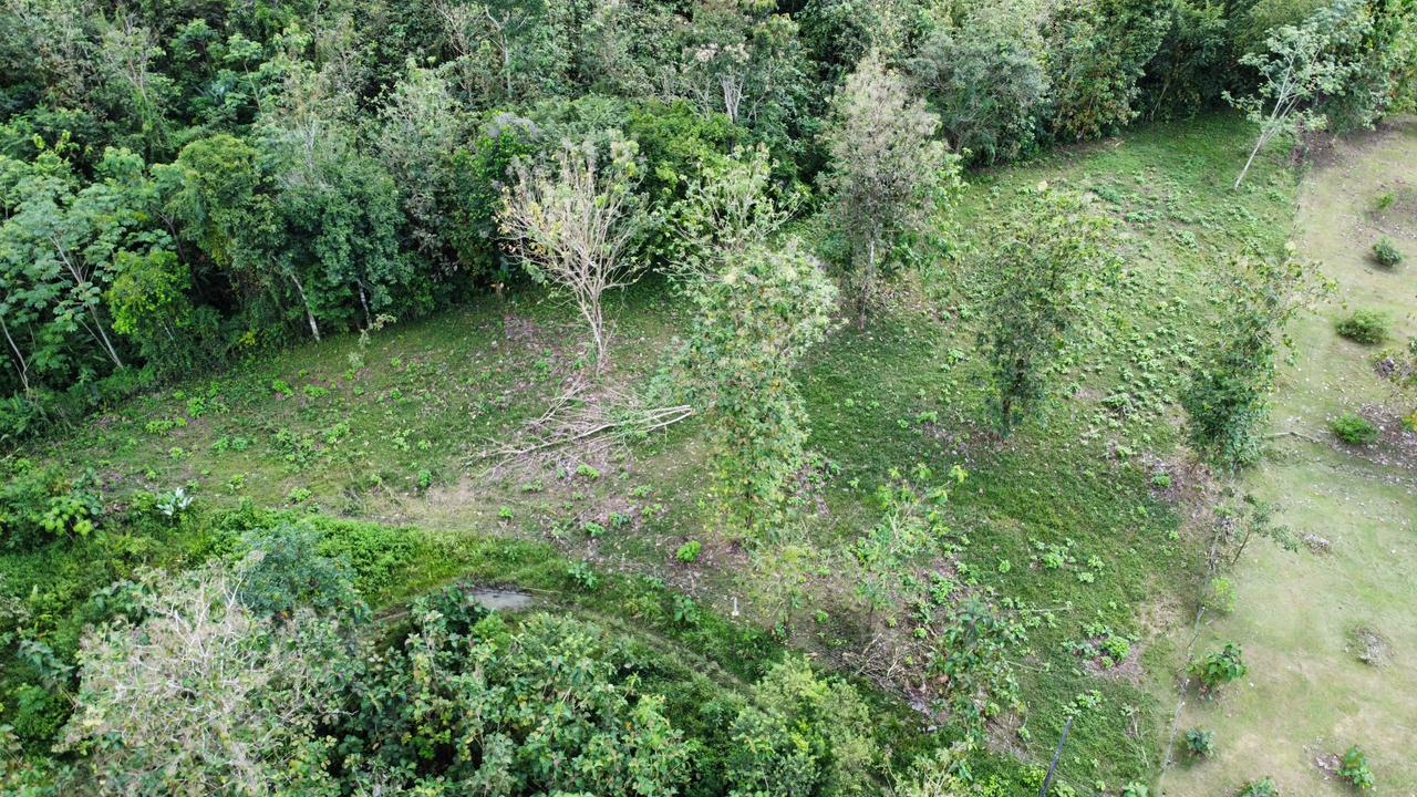 Off the grid property | Located in a privileged area, surrounded by natural beauty