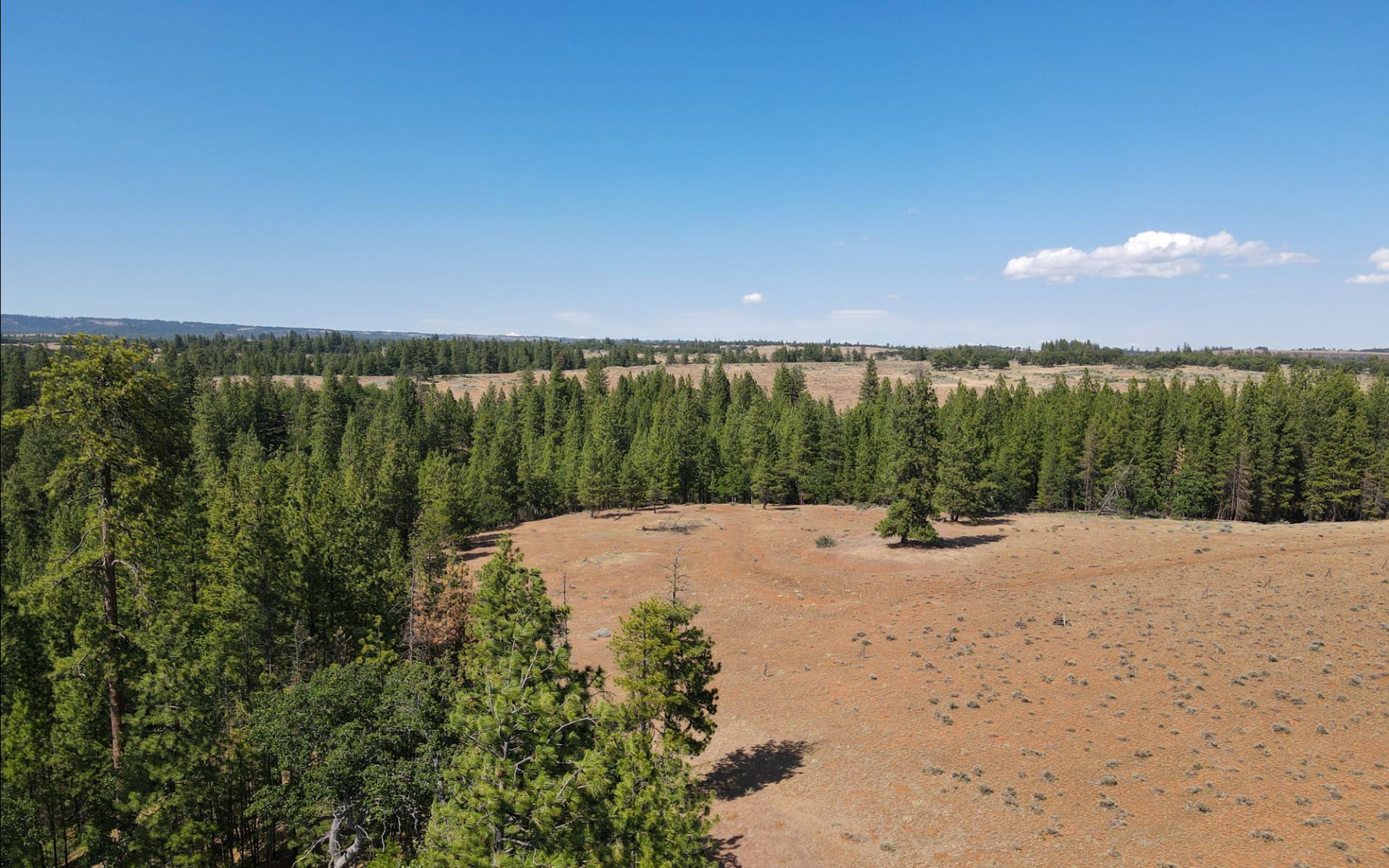 1056 Rock Creek Rd