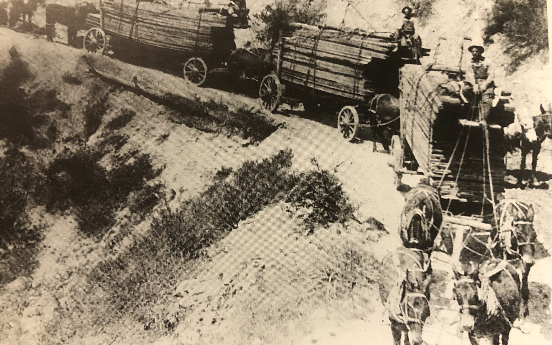 Historical photograph of Brookings Lumber Company wagons on City Creek Road bound for the Molino box factory in Highland, between 1899 and 1913