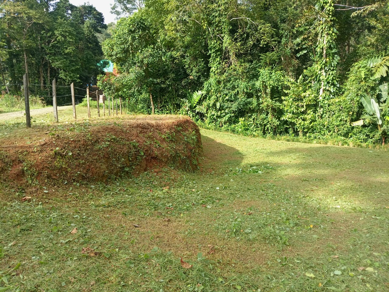 0.46 ACRES – Ocean View Land With Ready To Build Site, 2 Minutes Away From El Pavon Waterfall, Utilities On Site & Virgin Forest!!!