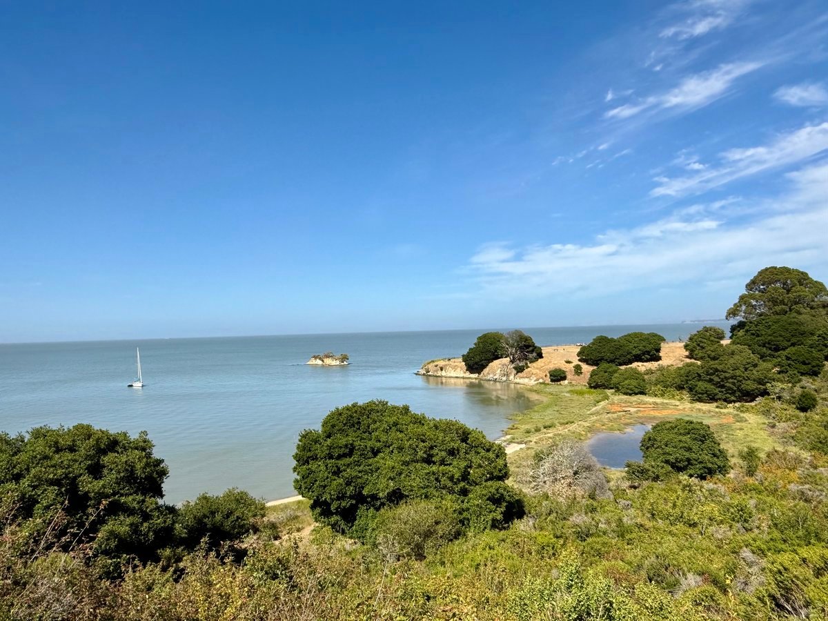 15 Sulgrave Lane, San Rafael