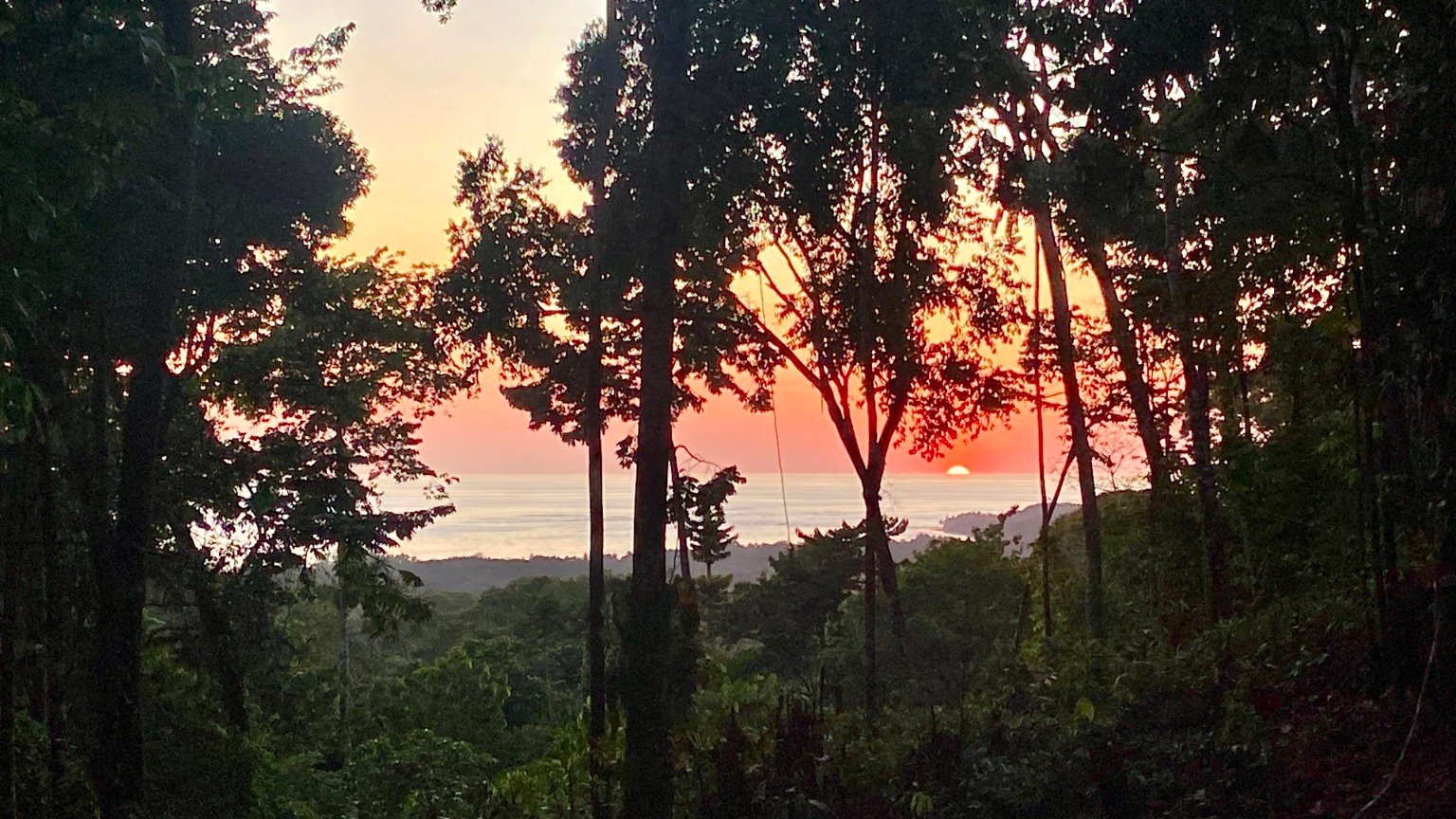 Tropical Sanctuary Above Uvita: 5-Acre Jungle Estate with incredible Mountain Views