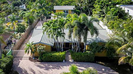 Aerial view of a single-story home with a curved driveway and tall palm trees.