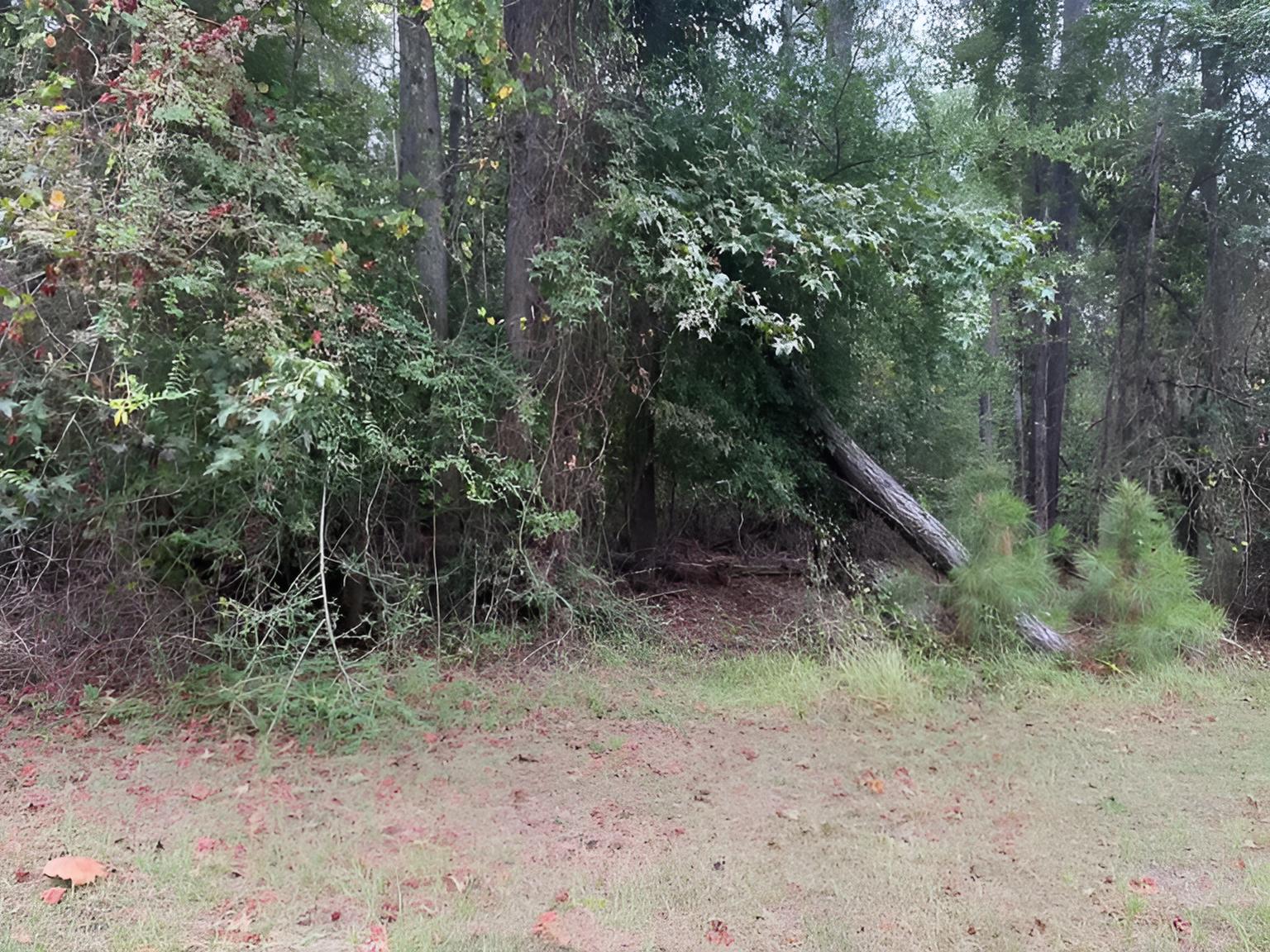 12 Sunrise Dr