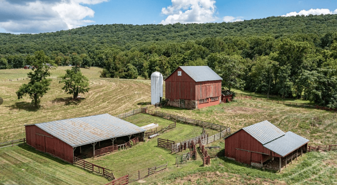 The 5 Most Expensive Homes SOLD in Loudoun County in 2024