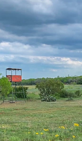 Oaks, Wildlife, & the Quiet of the Countryside | 26.99± Acres | Poteet, TX