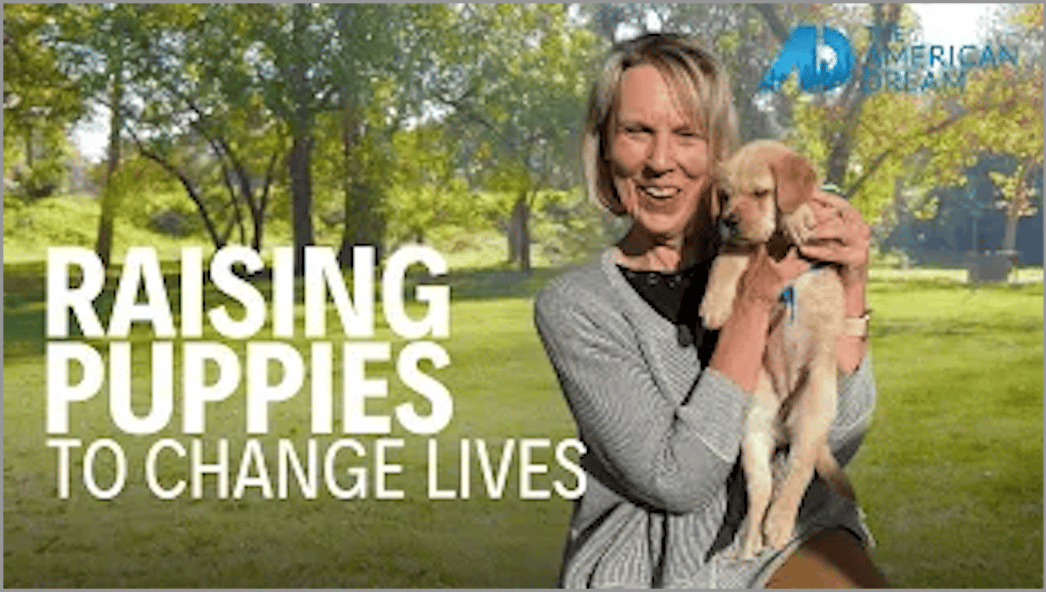 Raising Puppies to Change Lives: Inside San Jose’s Service Dog Community