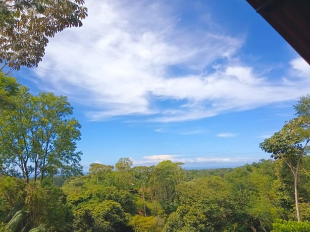 Multi-Home Income Estate Near Marino Ballena National Park