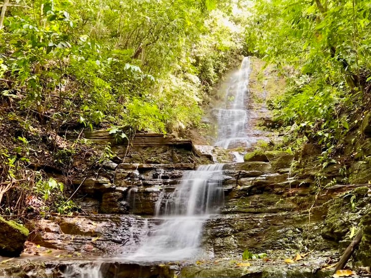 Eco-Luxury Home and Cabins with Waterfall, Ocean Views, and Organic Farming Potential