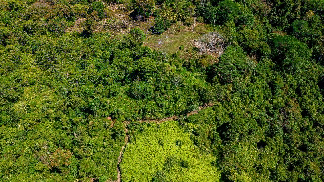 Whale Tail Views Luxury Waterfall Farm