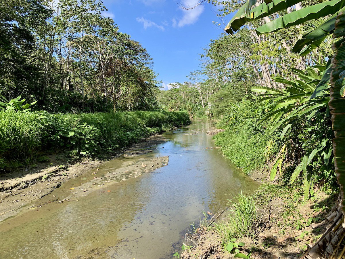 Jungle Beach Exotic Retreat