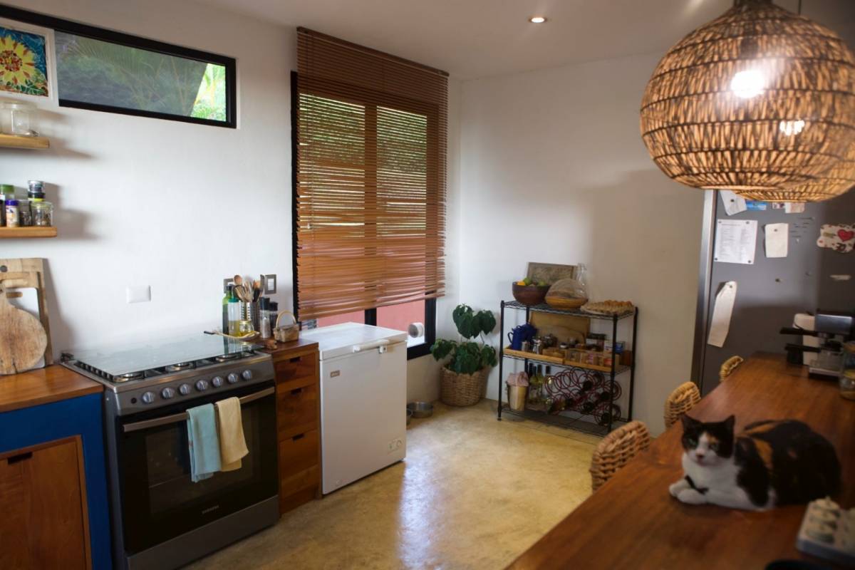 Terra Lodge - Income producing property with two apartments, swimming pool and 1 bedroom home.
