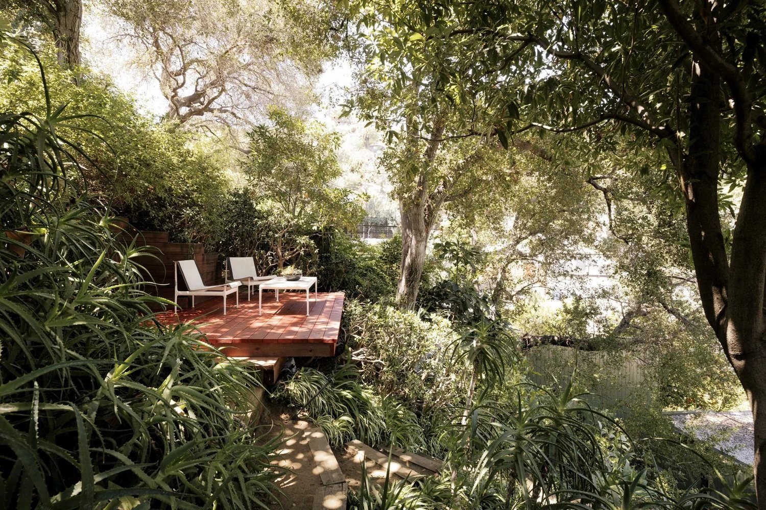 A raised wood deck with two lounge chairs and a low table sits among dense green plantings and mature trees in the Smith Residence garden.