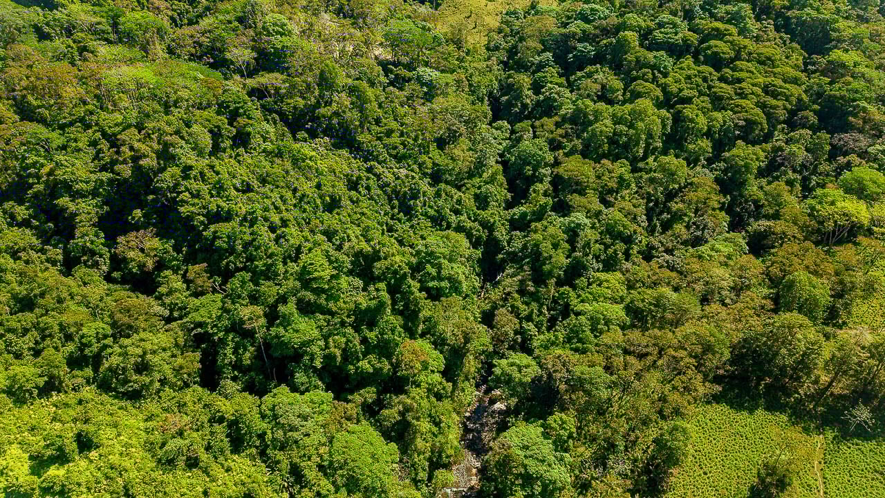 Whale Tail Views Luxury Waterfall Farm