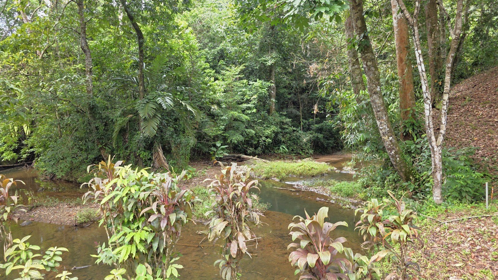 Refreshing Riverfront Retreat in Ojochal