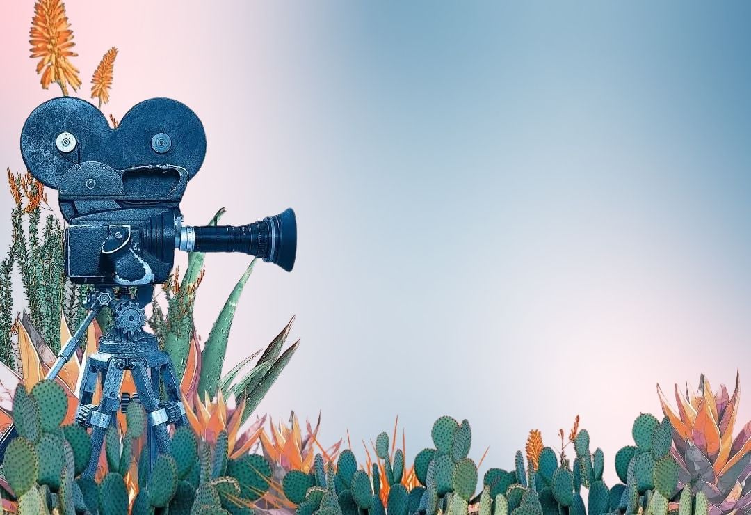 The Magic of Cinema at the Palm Springs International Film Festival (PSIFF)