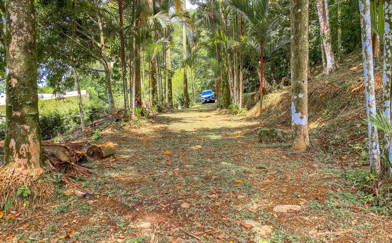 Large Uvita Lot With Whale’s Tail Ocean Views, Sunsets & Legal Water – Ready to Build!