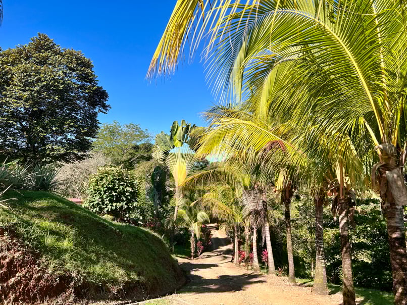 Peaceful 2-Bedroom Home in a Lush Garden in Ojochal