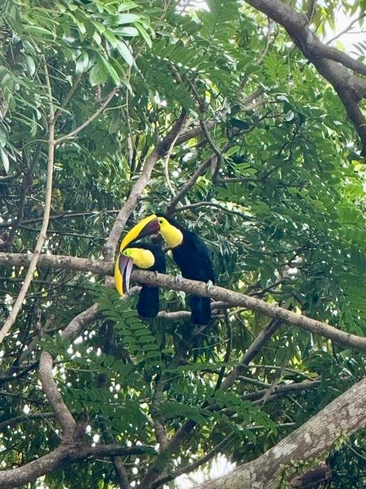 VILLA TURQUESA, MAJESTIC OASIS WITH EXTRA BUILDING SITE, CLOSE TO THE BEACH & WILDLIFE 