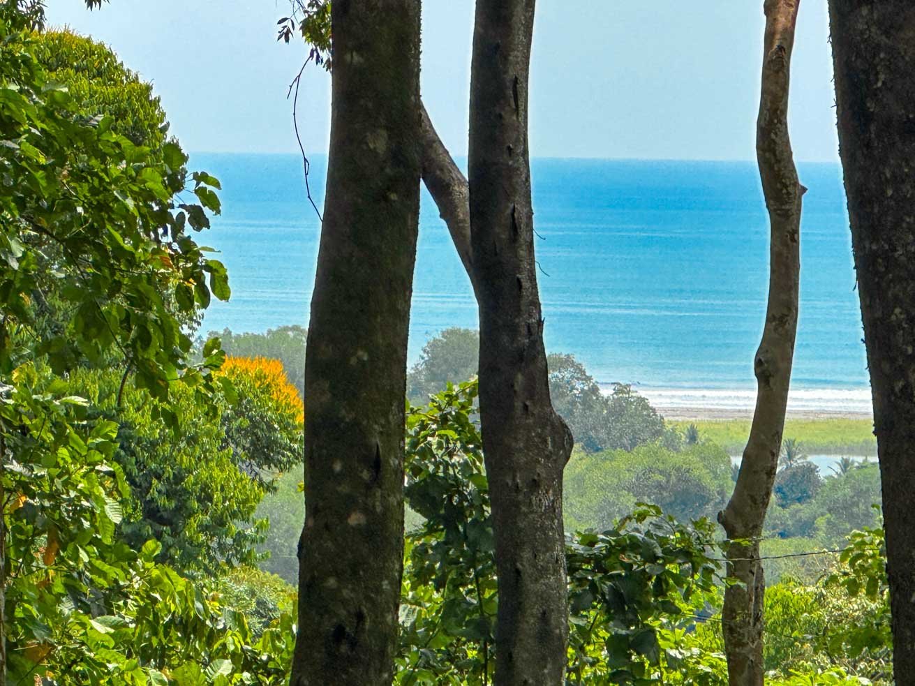 23-Acre Prime Highway Frontage Lot Near Ojochal & Ocean