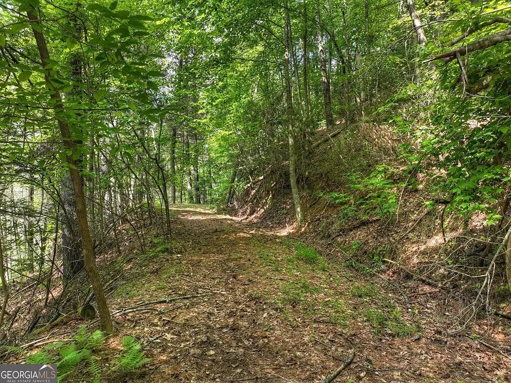 56 River Bend Trl