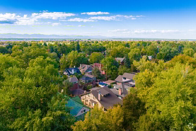 A Local’s Guide to South Denver, CO: Hidden Gems & Must-Visit Spots