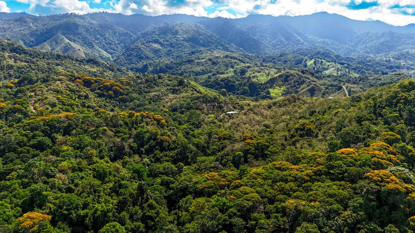 32-Acre Self-Sustainable Off-Grid Farm Near Ojochal with House, Solar Power & River
