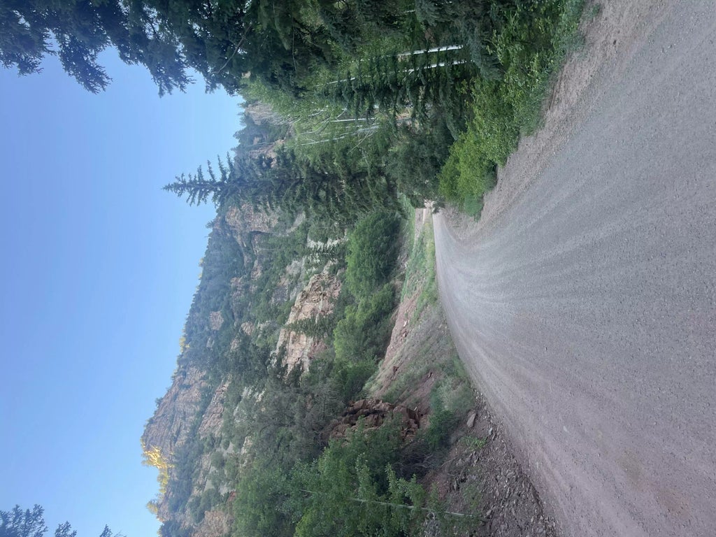 The Mesas