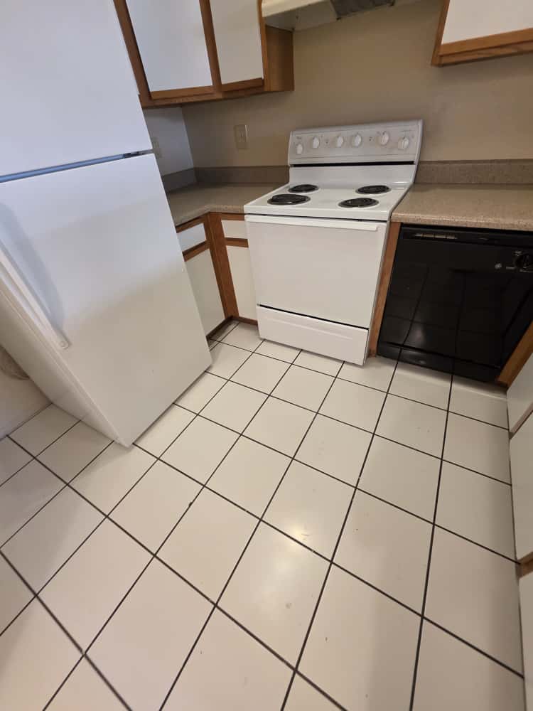 3849 Soda Springs Drive - 1