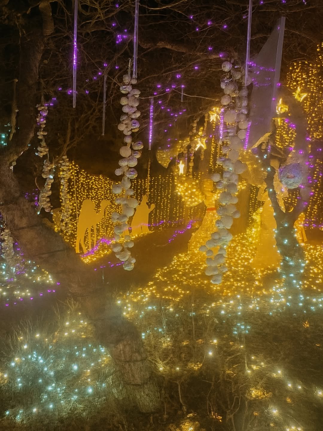 Franktown Festival of Lights display at night with over 500,000 twinkling holiday lights, festive decorations, and glowing winter scenes created by a local father-and-son duo